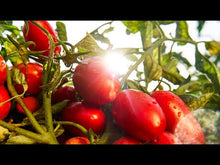 Daržovių padažo koncentratas Le Verdurine, 130g