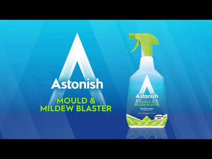 Mold and fungus remover, 750 ml